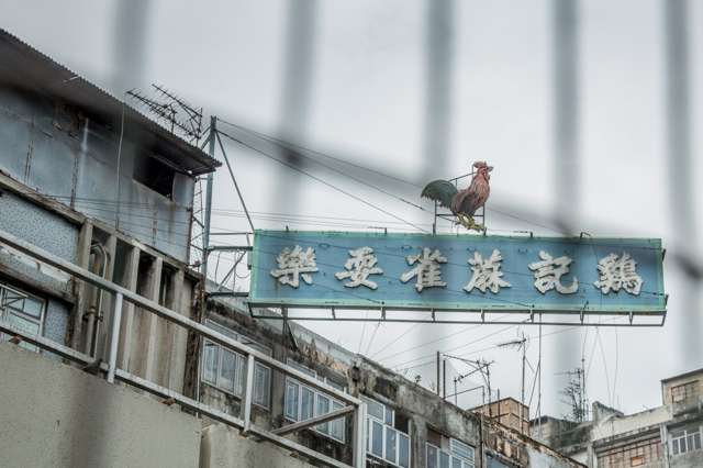 Conserving Neon Culture