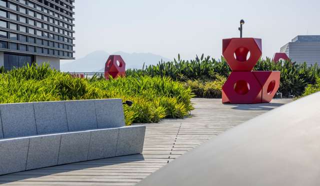 M+ Playscape
